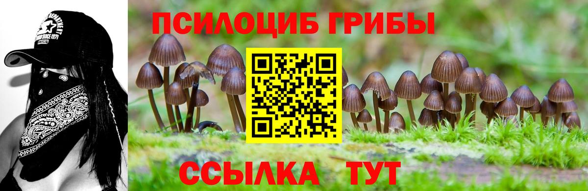 Соль-Илецк  Псилоцибиновые грибы GOLDEN TEACHER  Вход с VPN 
