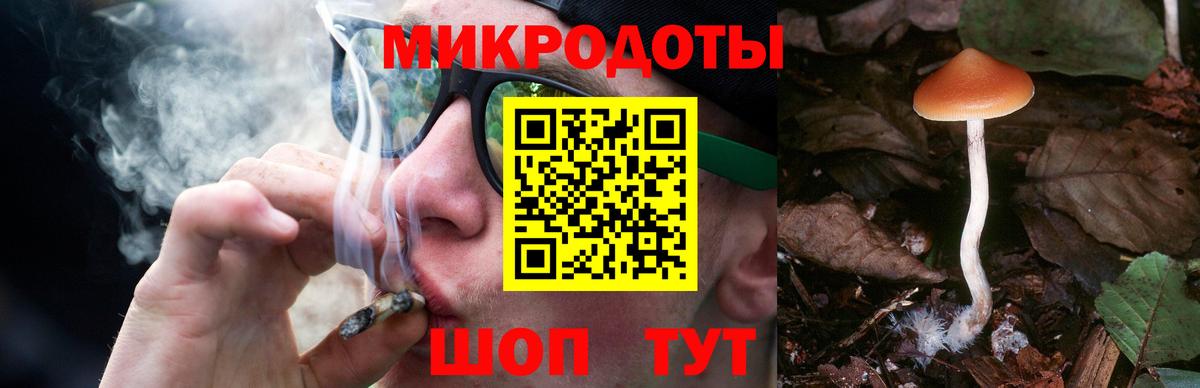 Псилоцибиновые грибы Psilocybine cubensis Соль-Илецк